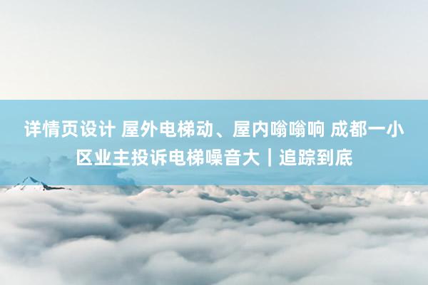 详情页设计 屋外电梯动、屋内嗡嗡响 成都一小区业主投诉电梯噪音大｜追踪到底